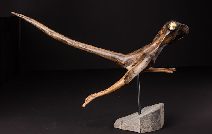 RUNNING LIZARD